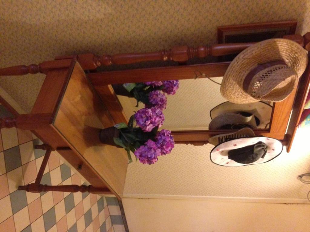 Annie'S Shandon Inn Brisbane Zewnętrze zdjęcie